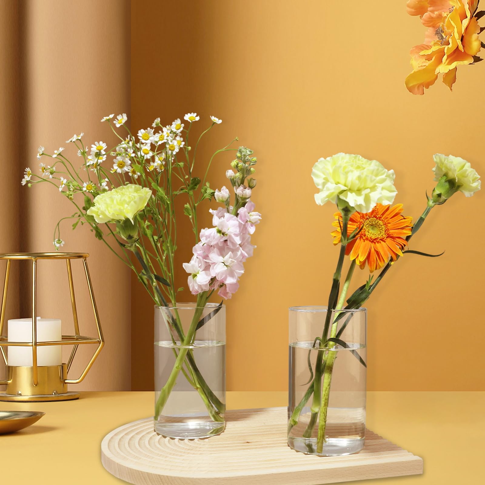 Amazon.co.jp: CHPINDAM ガラスシリンダー花瓶、ハリケーン